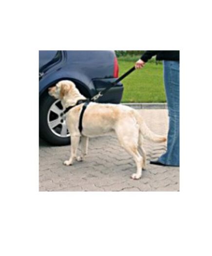 kutya biztonsági öv-hámmal 20-25cm XS