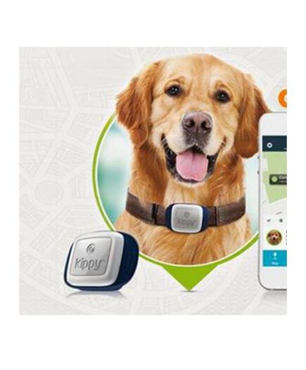 Kyppy GPS nyomkövető nyakörv kutya-macska